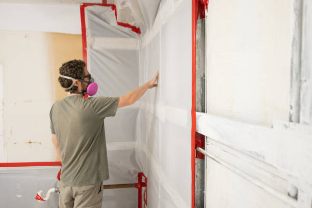 Best Environmental Consulting for Mold Prevention  in Poncha Springs, CO
